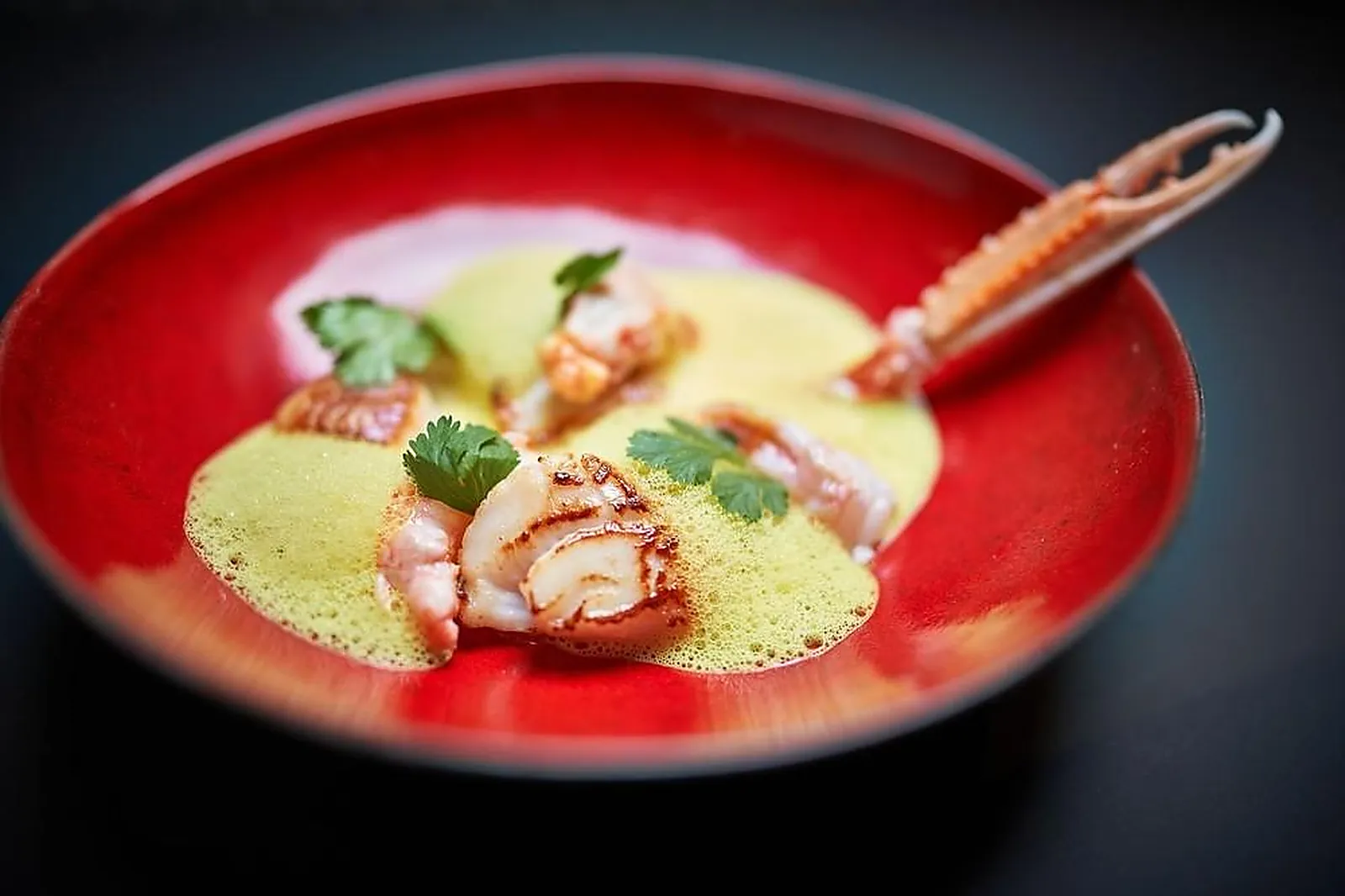 Cafés et Restaurants, RESTAURANTS - CHATEAU-CHALON (JURA) : LE BOUCHON DU CHÂTEAU