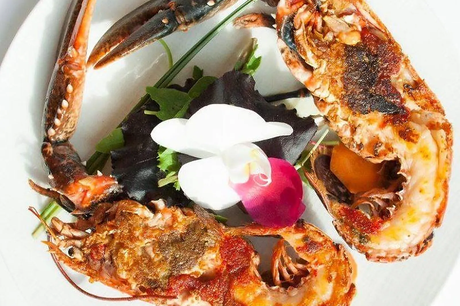 Cafés et Restaurants, RESTAURANTS - CLAIREFONTAINE-EN-YVELINES (YVELINES) : LES TERRASSES DE CLAIREFONTAINE