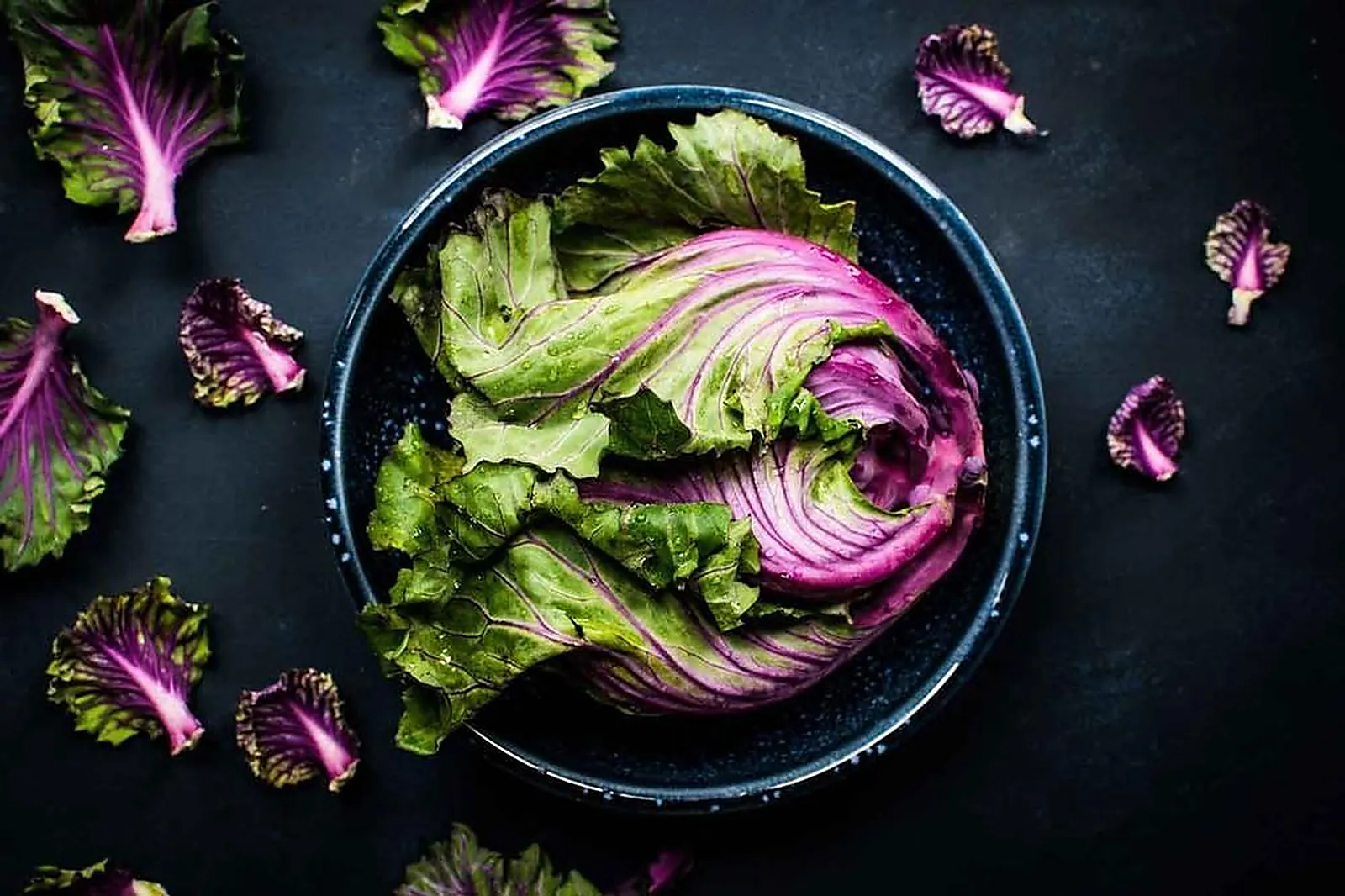 Cafés et Restaurants, RESTAURANTS - COMPIEGNE (OISE) : RHIZOME RESTAURANT