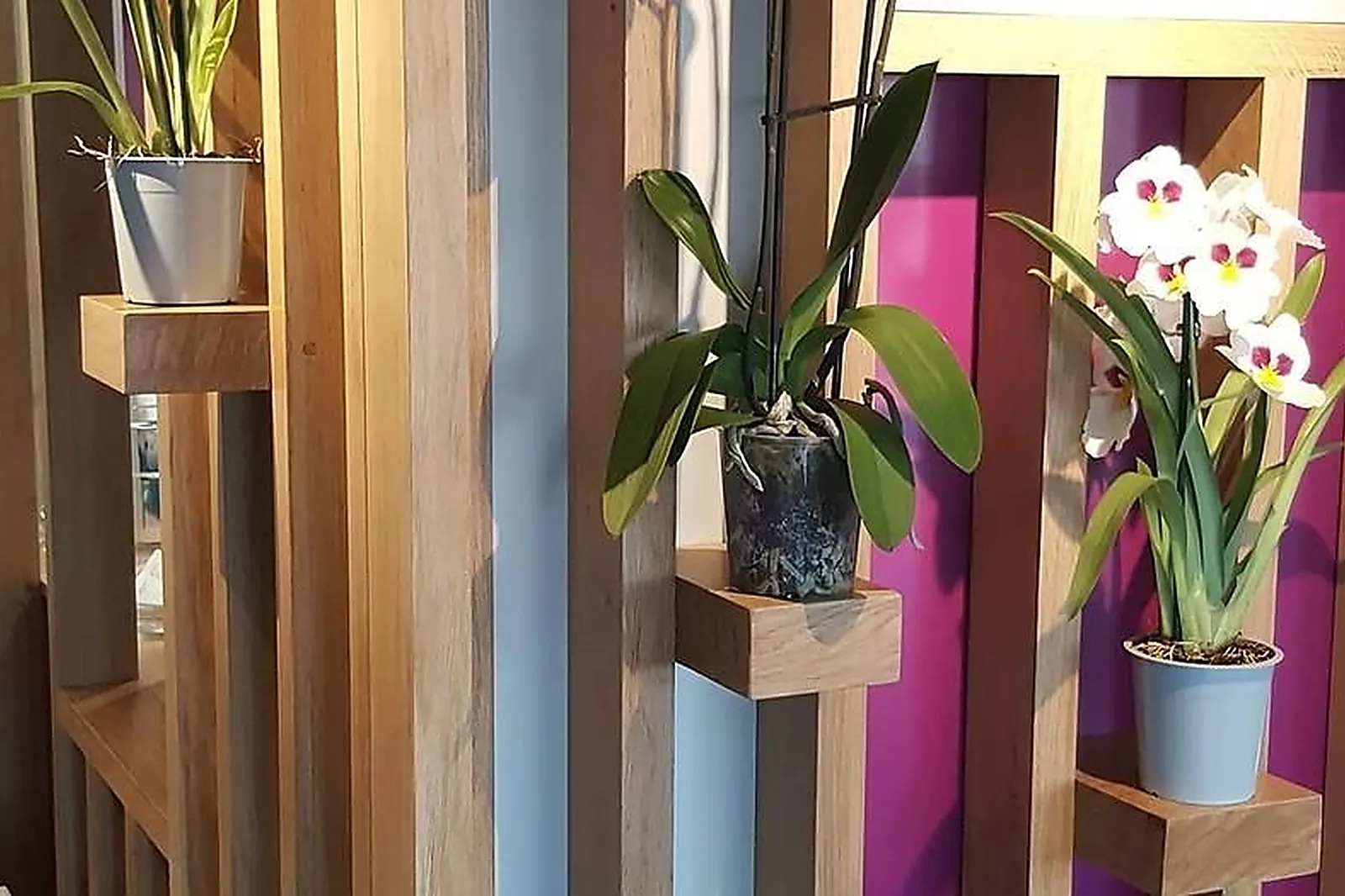 Cafés et Restaurants, RESTAURANTS - COURSEULLES-SUR-MER (CALVADOS) : LE CATLEYA