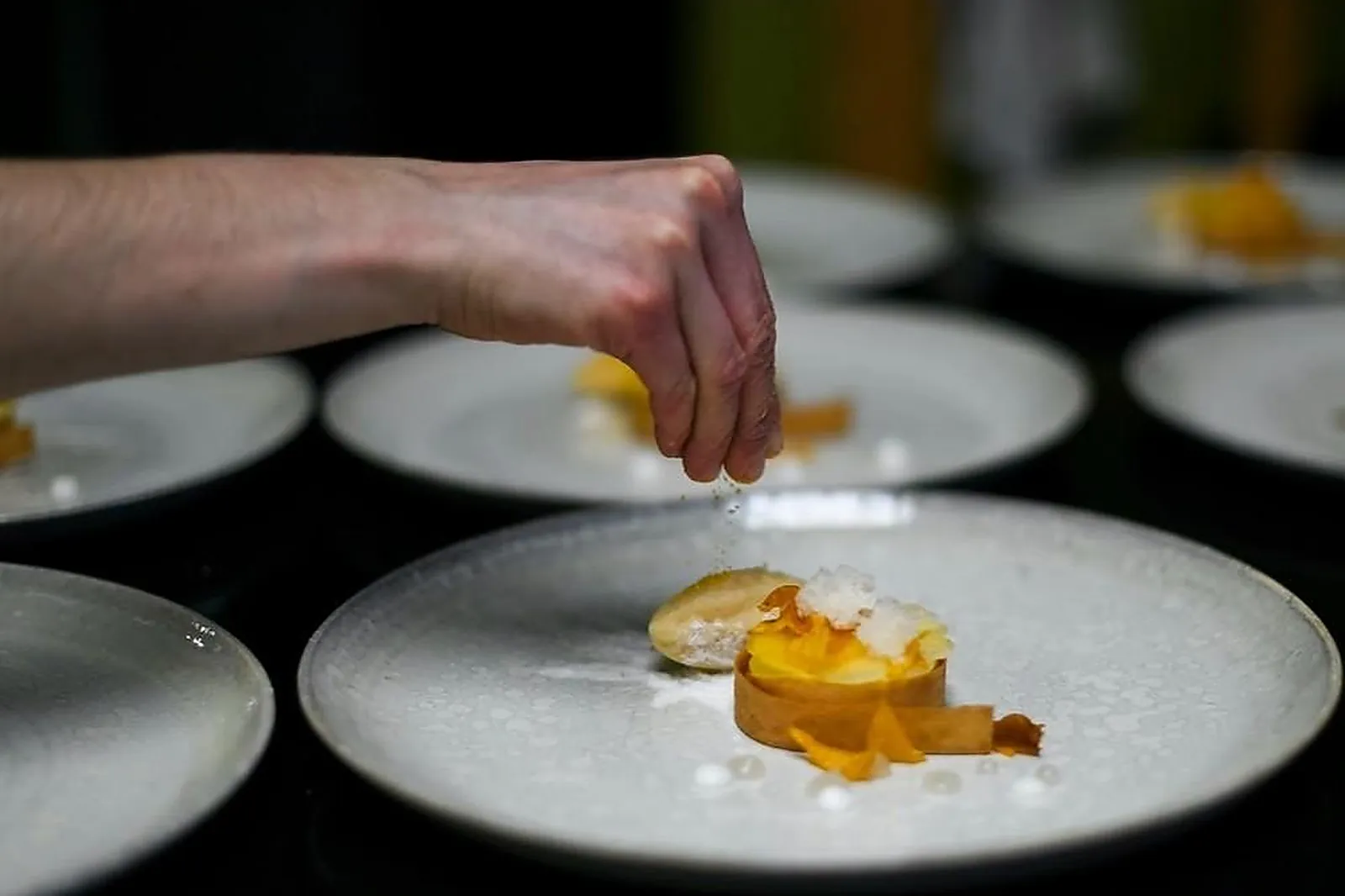 Cafés et Restaurants, RESTAURANTS - FAULQUEMONT (MOSELLE) : TOYA RESTAURANT