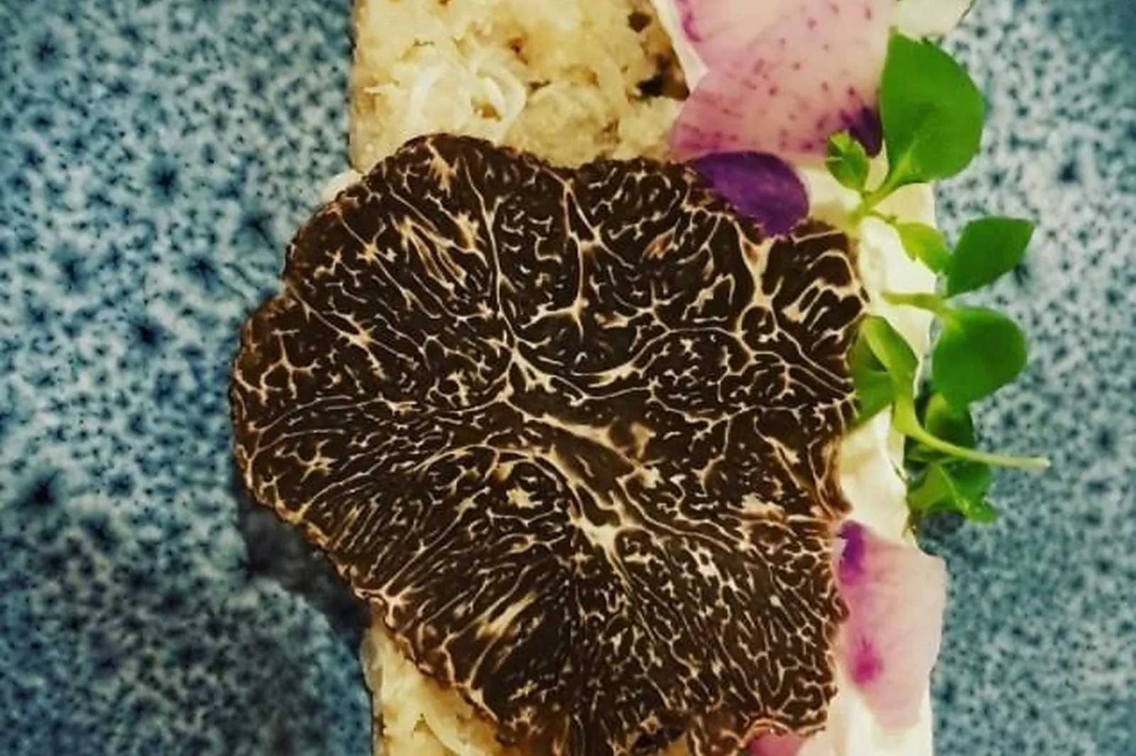 Cafés et Restaurants, RESTAURANTS - GAUJAC (GARD) : LA MAISON