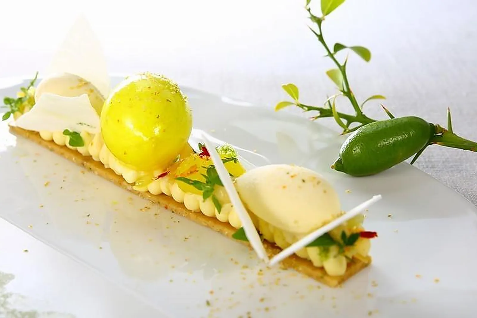 Cafés et Restaurants, RESTAURANTS - GAZERAN (YVELINES) : VILLA MARINETTE