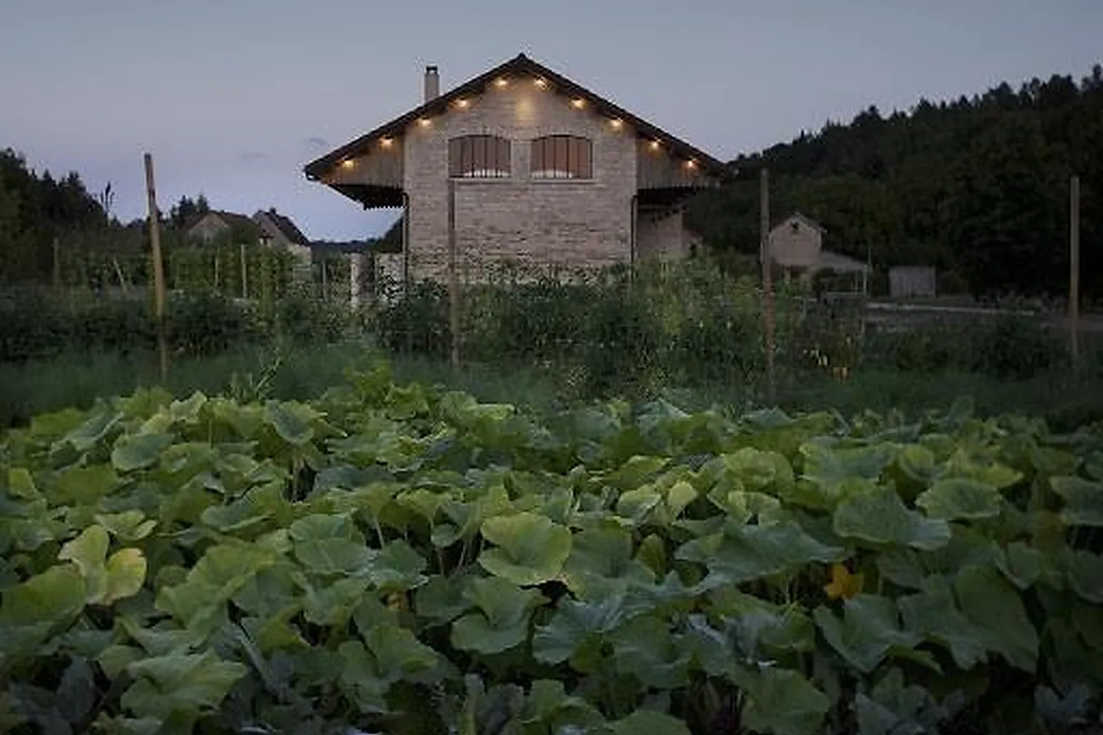Cafés et Restaurants, RESTAURANTS - GYE-SUR-SEINE (AUBE) : LE GARDE CHAMPÊTRE
