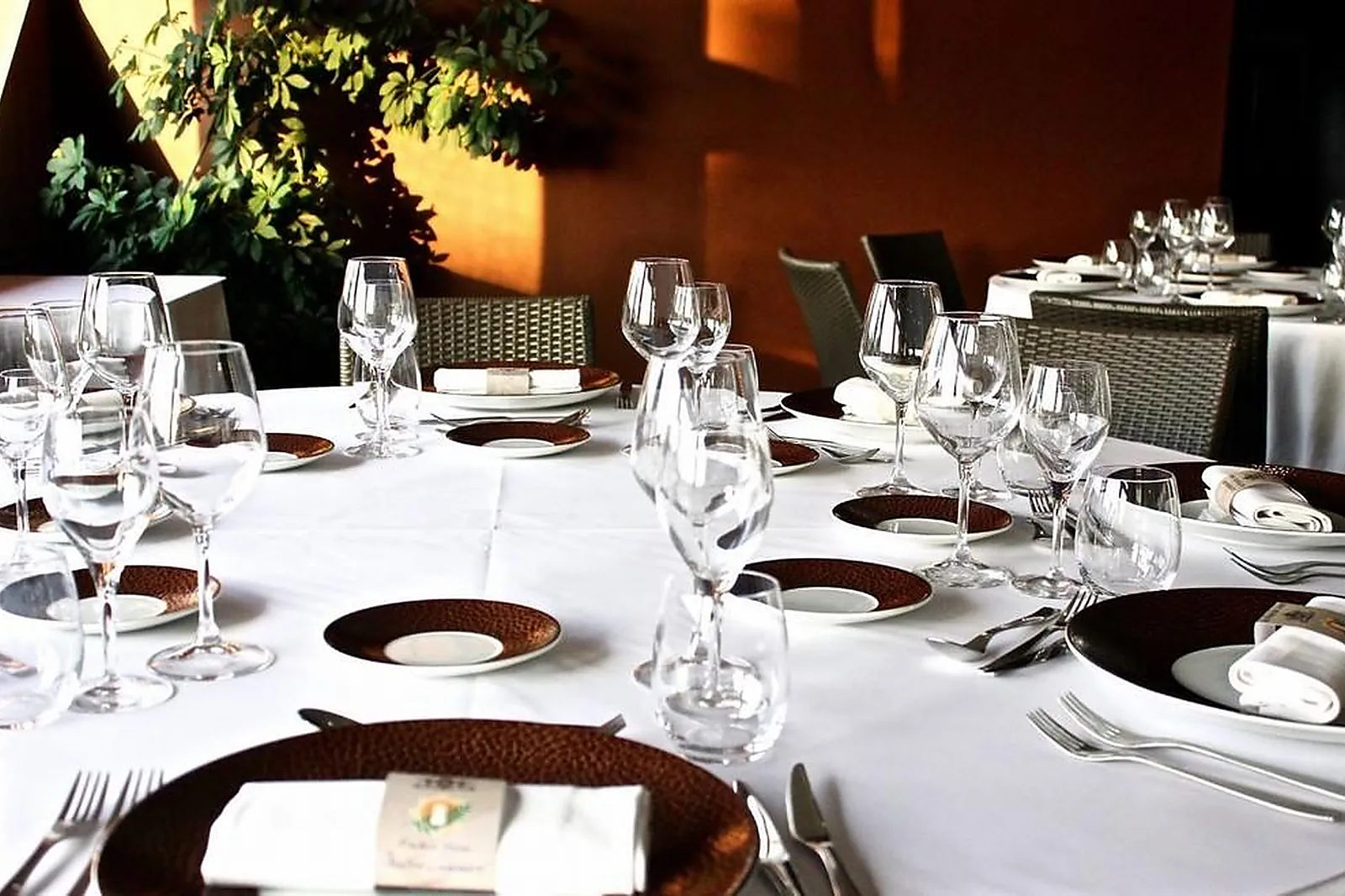 Cafés et Restaurants, RESTAURANTS - JONS (RHÔNE) : LE RESTAURANT DU PONT DE JONS