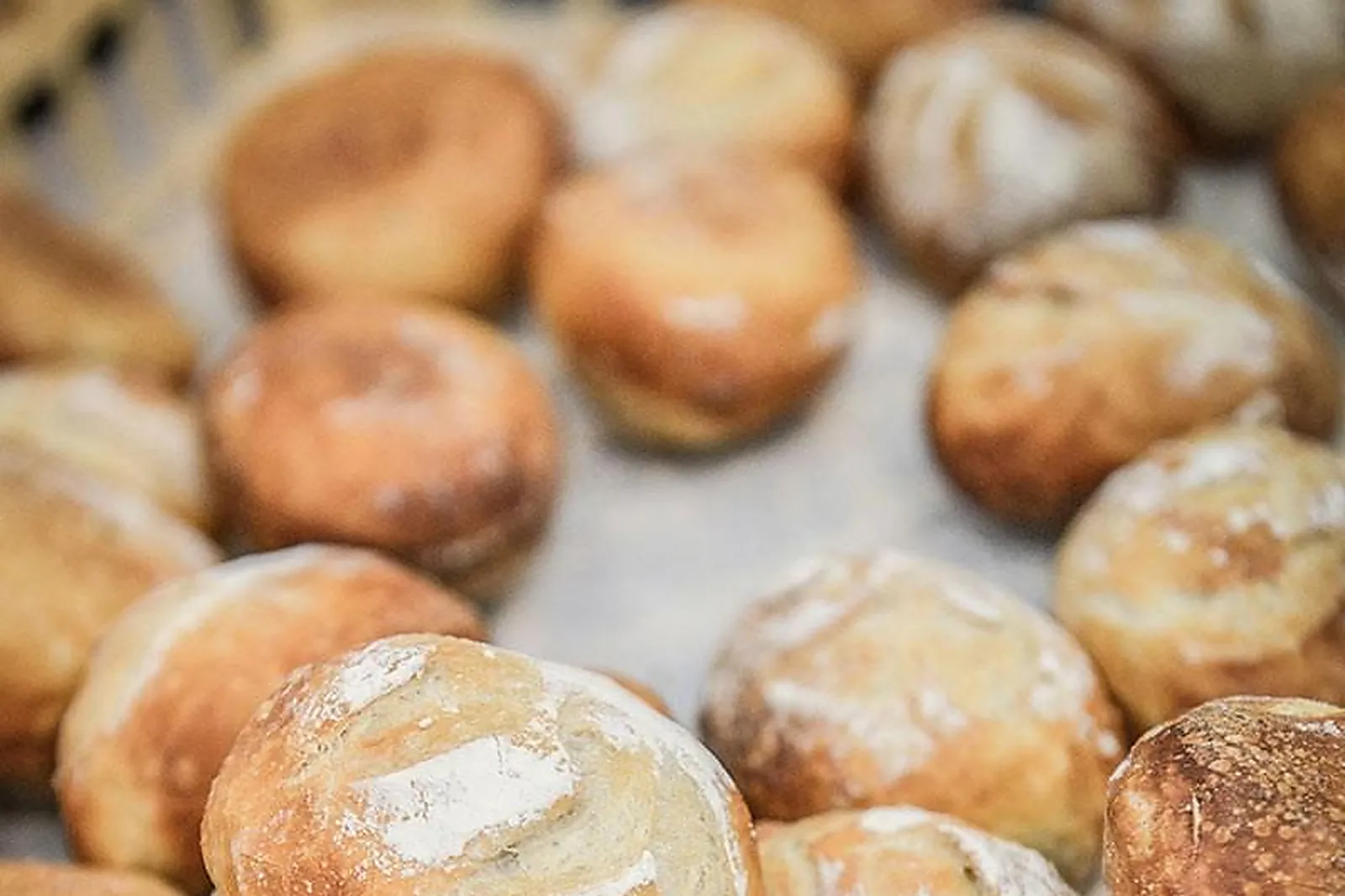 Cafés et Restaurants, RESTAURANTS - LANNION (CÔTES-DL&RSQUO;ARMOR) : LL&RSQUO;ANTHOCYANE