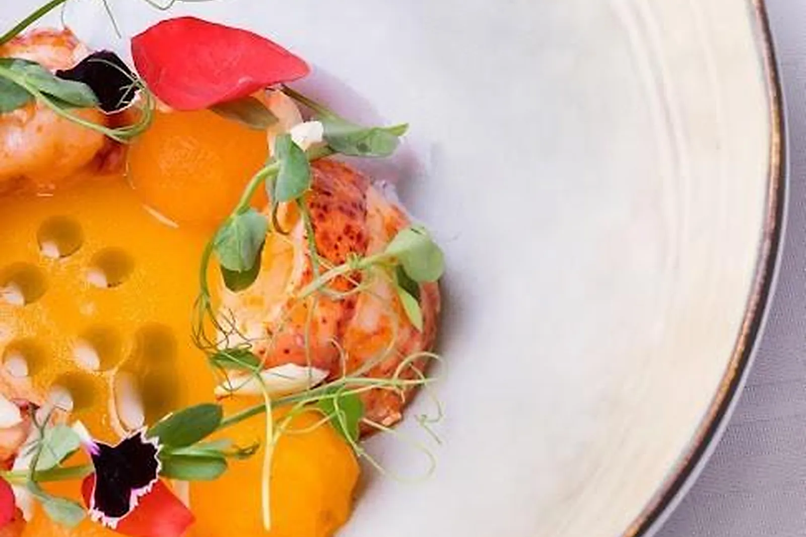 Cafés et Restaurants, RESTAURANTS - LASTOURS (AUDE) : LE PUITS DU TRÉSOR