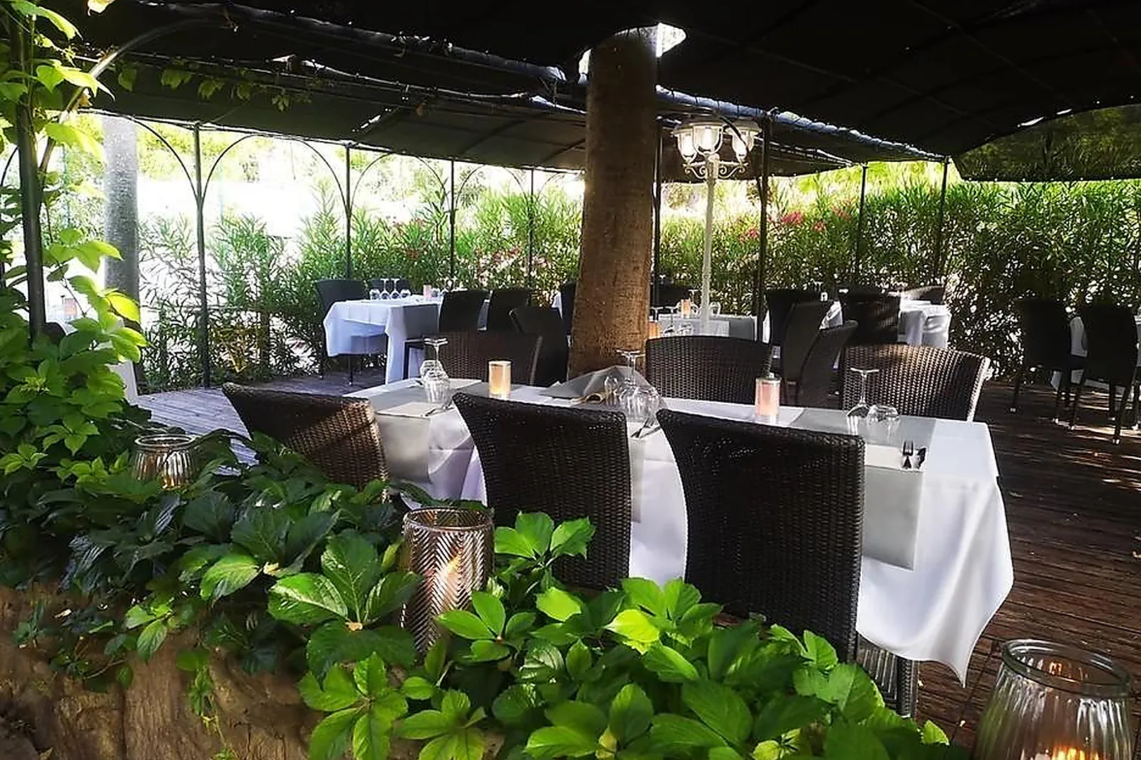 Cafés et Restaurants, RESTAURANTS - LA BASTIDONNE (VAUCLUSE) : LA TERRASSE DL&RSQUO;OLIVIER