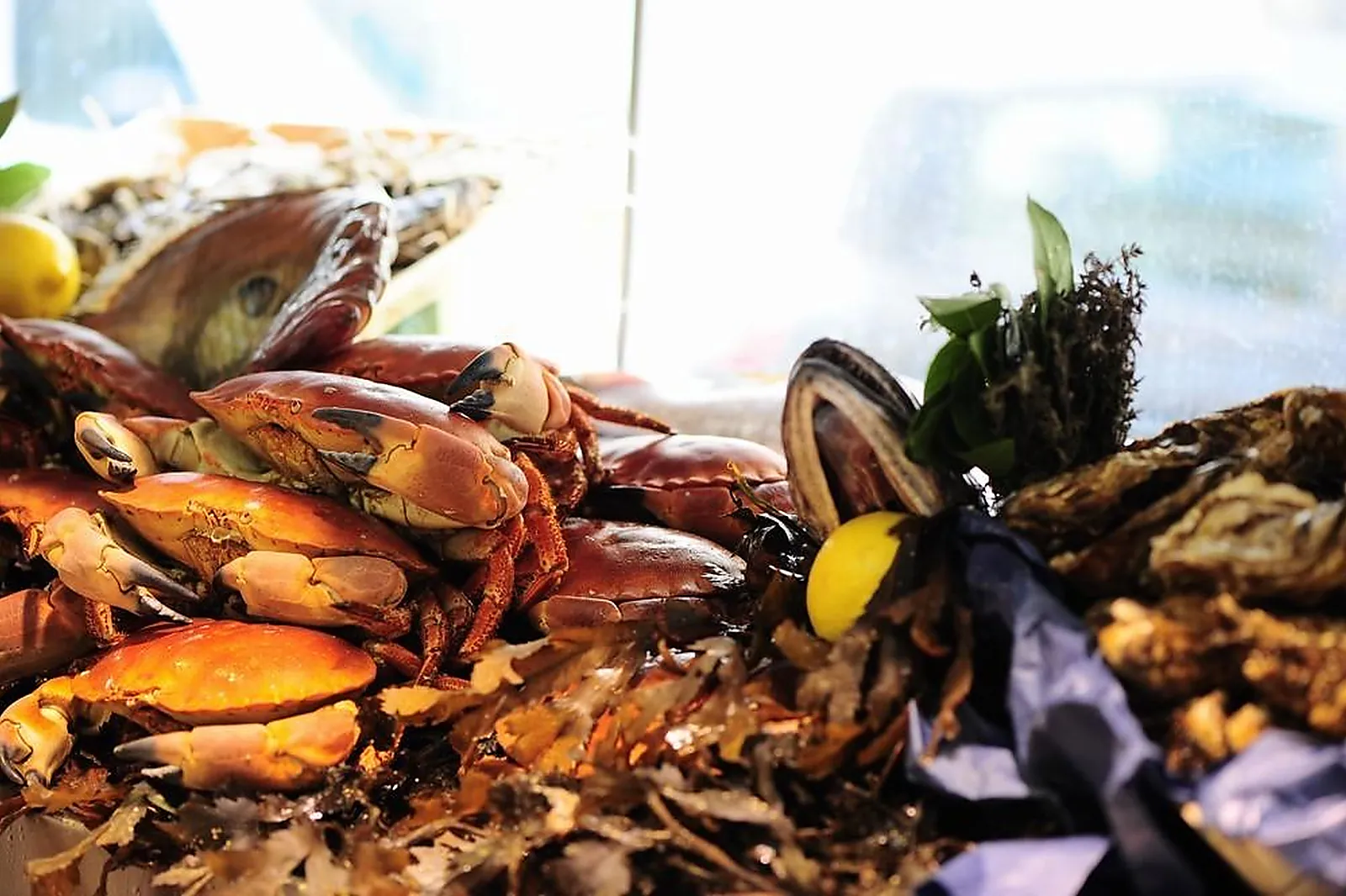 Cafés et Restaurants, RESTAURANTS - LA ROCHELLE (CHARENTE-MARITIME) : BAR ANDRÉ