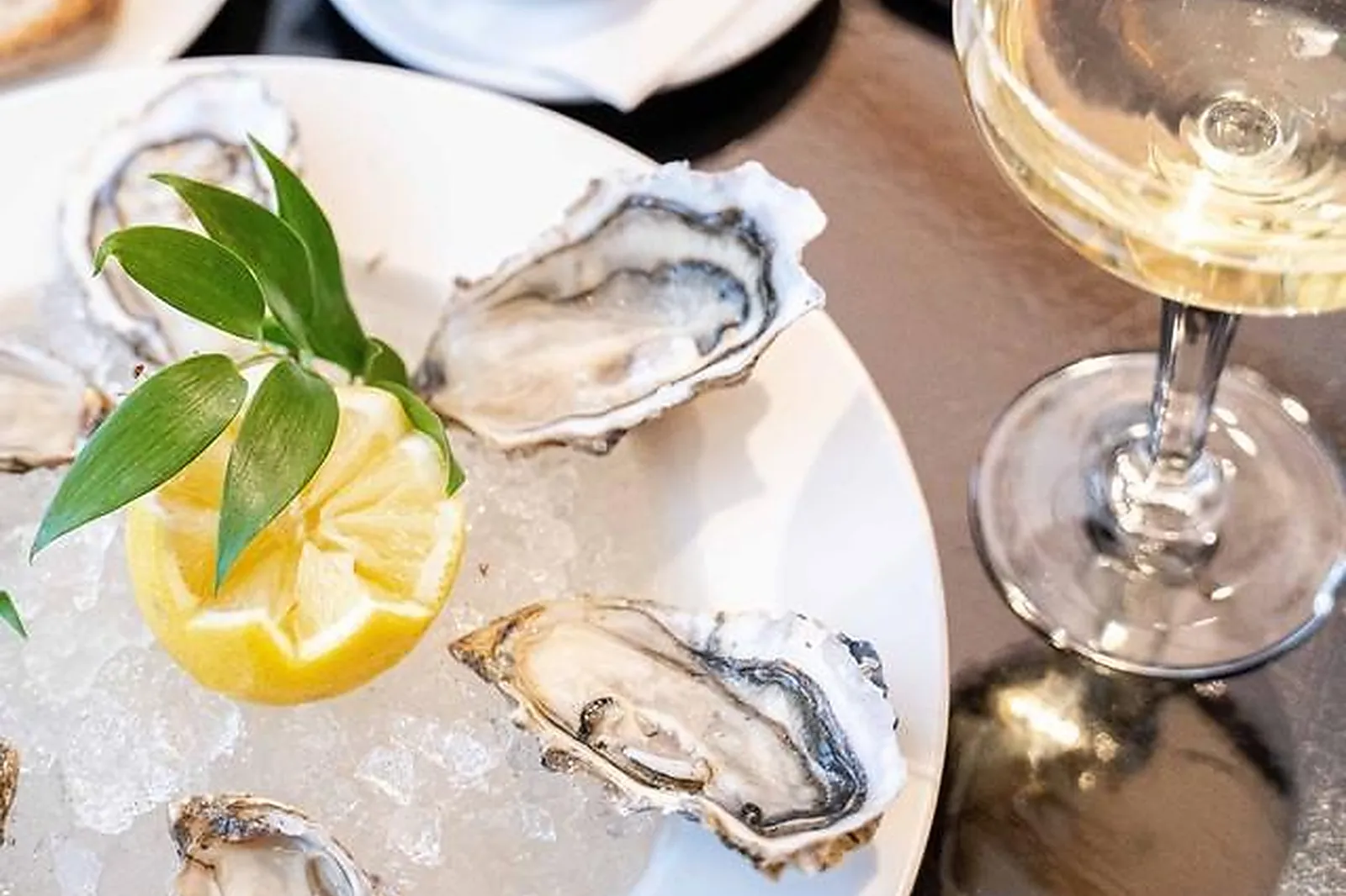 Cafés et Restaurants, RESTAURANTS - LA ROCHELLE (CHARENTE-MARITIME) : BAR ANDRÉ