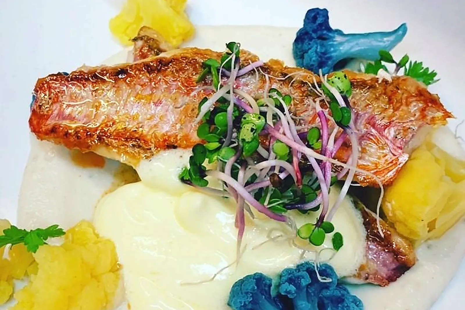 Cafés et Restaurants, RESTAURANTS - LE TOUQUET (PAS-DE-CALAIS) : LES 2 MOINEAUX