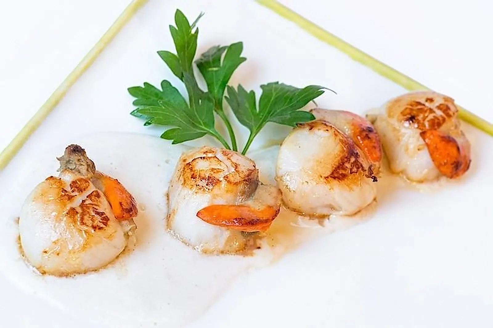 Cafés et Restaurants, RESTAURANTS - LILLE (NORD) : LE BARBIER QUI FUME VIEUX LILLE