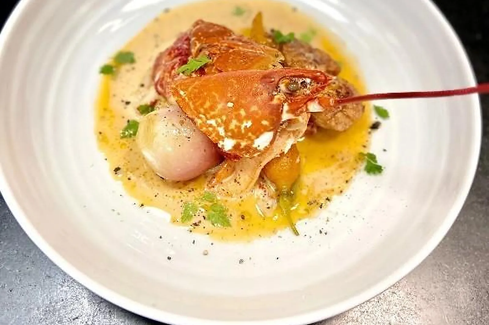 Cafés et Restaurants, RESTAURANTS - LIMOGES (HAUTE-VIENNE) : RESTAURANT PHILIPPE REDON