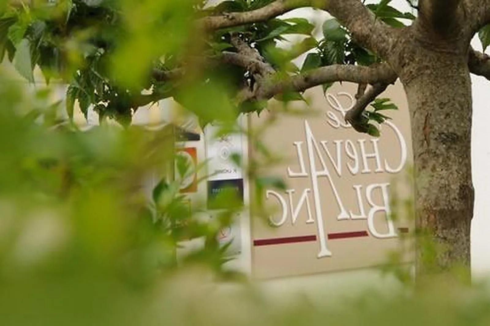 Cafés et Restaurants, RESTAURANTS - LUXE (CHARENTE) : AUBERGE DU CHEVAL BLANC LUXE