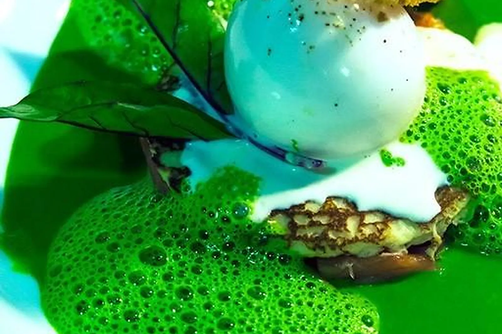 Cafés et Restaurants, RESTAURANTS - LYON (RHÔNE) : LA MÈRE BRAZIER