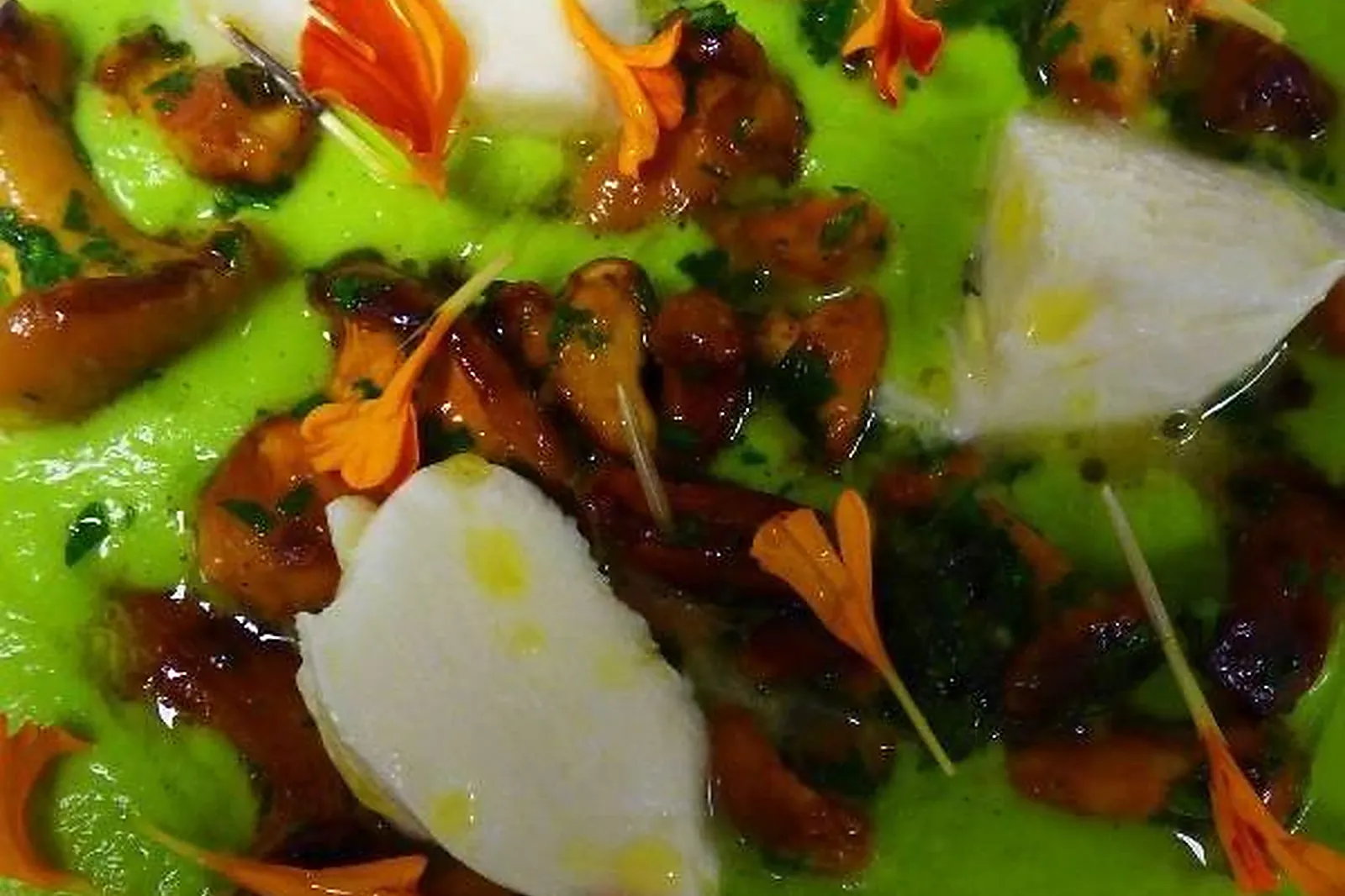 Cafés et Restaurants, RESTAURANTS - MARSEILLE (BOUCHES-DU-RHÔNE) : LE LAURACÉE