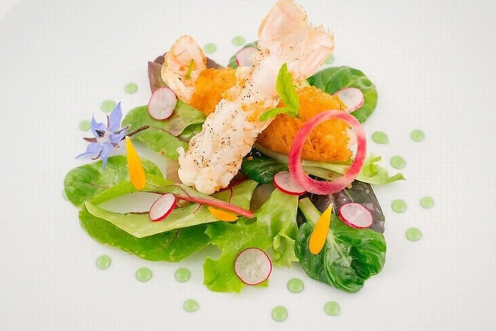 Cafés et Restaurants, RESTAURANTS - MONTBRON (CHARENTE) : MOULIN DE LA TARDOIRE