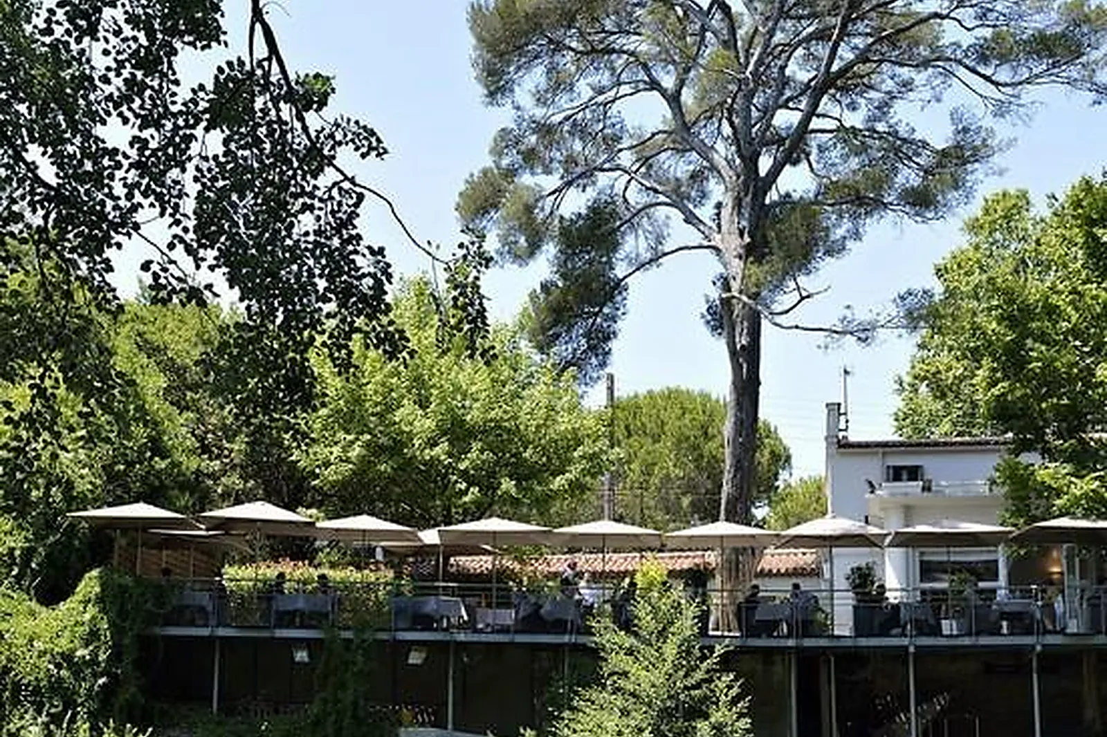 Cafés et Restaurants, RESTAURANTS - MONTPELLIER (HÉRAULT) : LA RÉSERVE RIMBAUD
