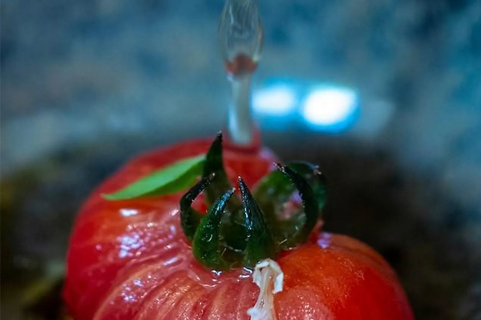 Cafés et Restaurants, RESTAURANTS - NARBONNE (AUDE) : MAISON SAINT-CRESCENT
