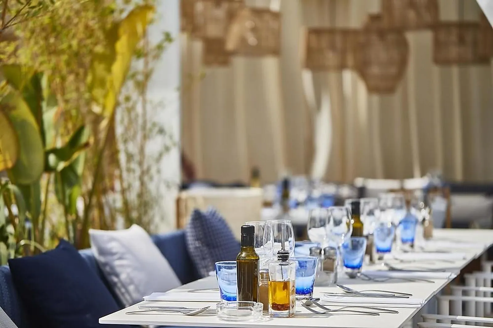 Cafés et Restaurants, RESTAURANTS - NICE (ALPES-MARITIMES) : LE TEMPS DL&RSQUO;UN ÉTÉ