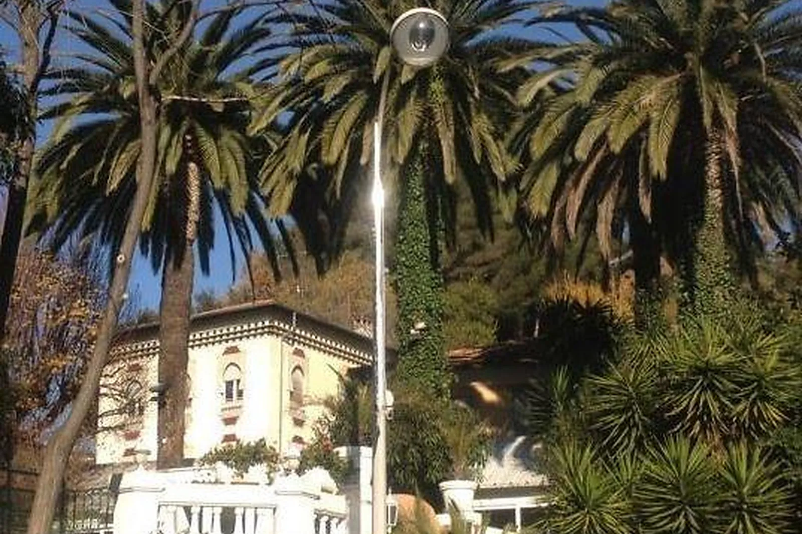 Cafés et Restaurants, RESTAURANTS - NICE (ALPES-MARITIMES) : RESTAURANT LES PALMIERS