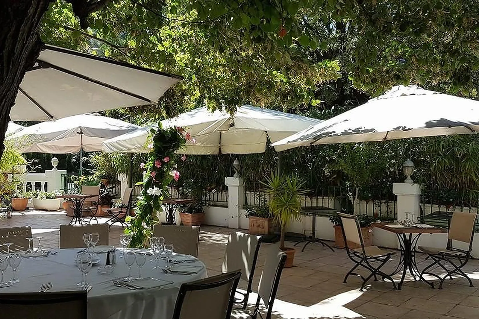 Cafés et Restaurants, RESTAURANTS - NICE (ALPES-MARITIMES) : RESTAURANT LES PALMIERS