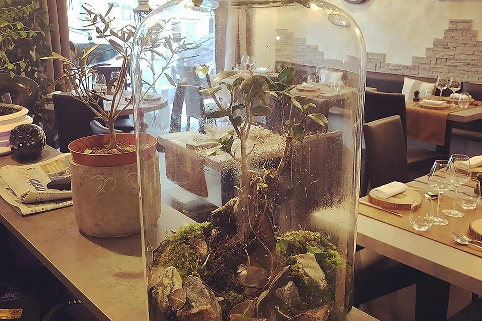 Cafés et Restaurants, RESTAURANTS - NICE (ALPES-MARITIMES) : LE MILLÉSIME