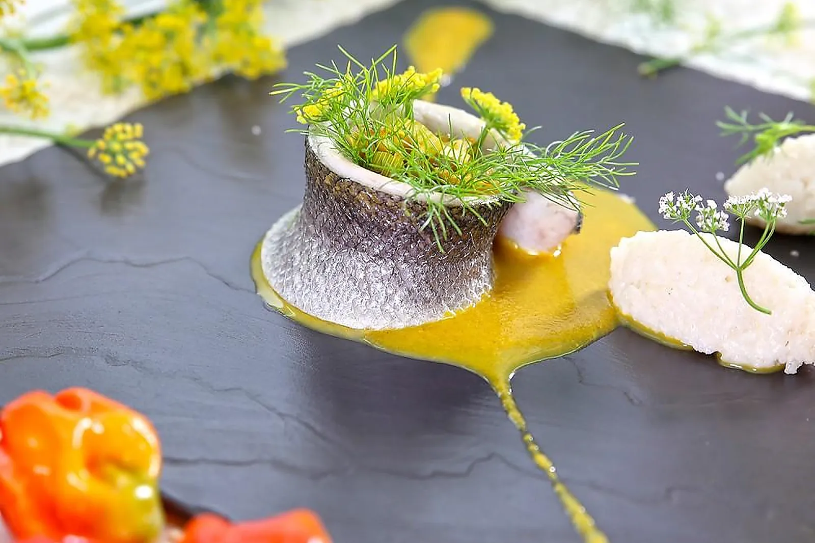 Cafés et Restaurants, RESTAURANTS - NIMES (GARD) : RESTAURANT CROIZARD