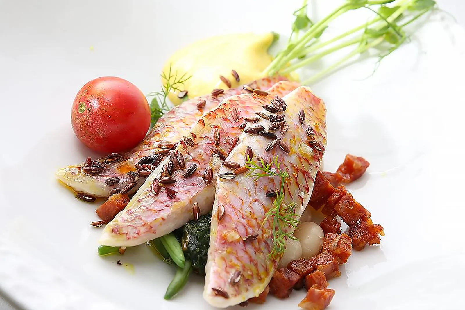 Cafés et Restaurants, RESTAURANTS - NIMES (GARD) : RESTAURANT CROIZARD