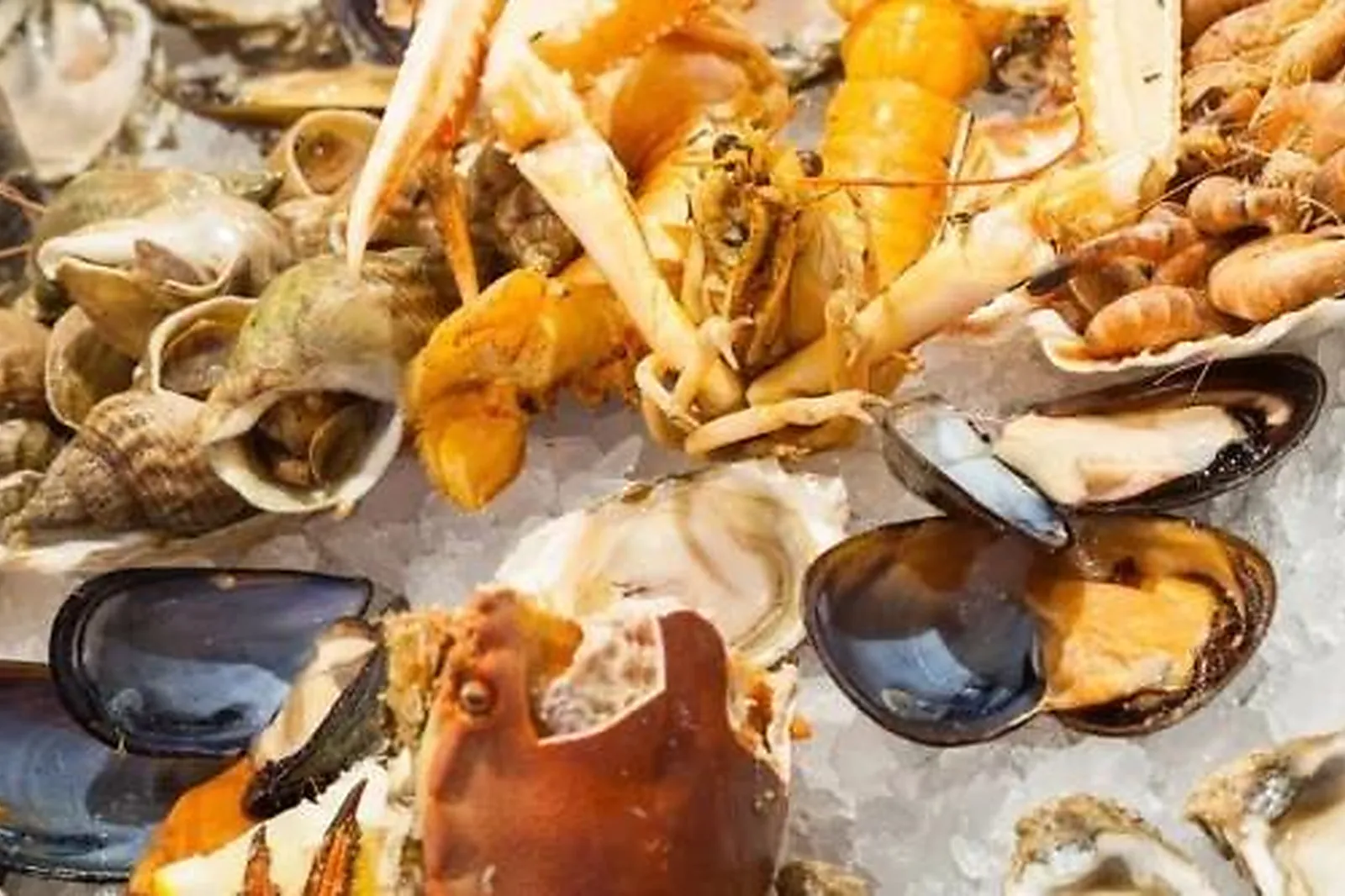 Cafés et Restaurants, RESTAURANTS - PARIS (PARIS) : BRASSERIE WEPLER