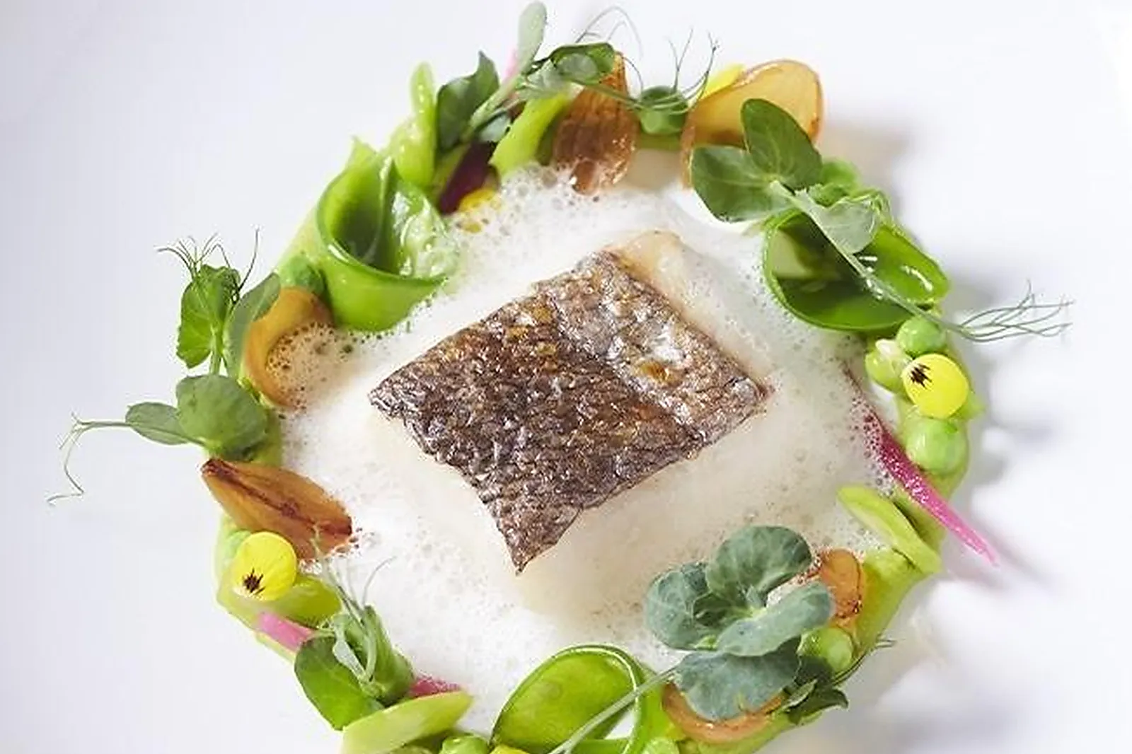 Cafés et Restaurants, RESTAURANTS - PARIS (PARIS) : LA DAME DE PIC