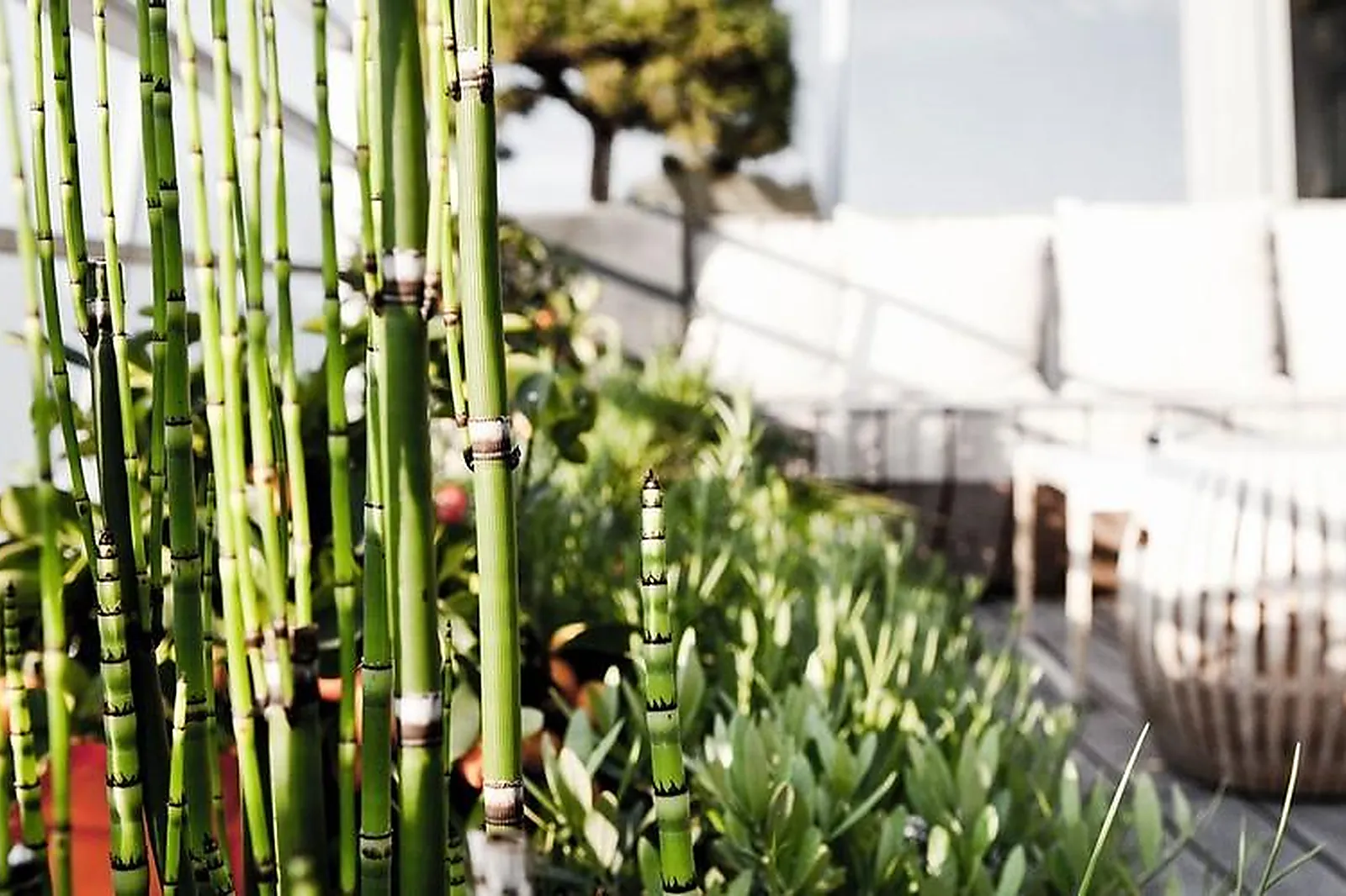 Cafés et Restaurants, RESTAURANTS - PARIS (PARIS) : LE 39V