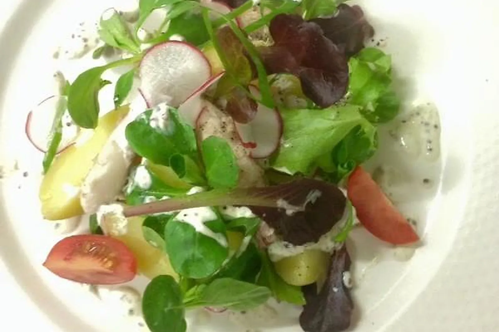 Cafés et Restaurants, RESTAURANTS - PARIS (PARIS) : LE PERROQUET VERT