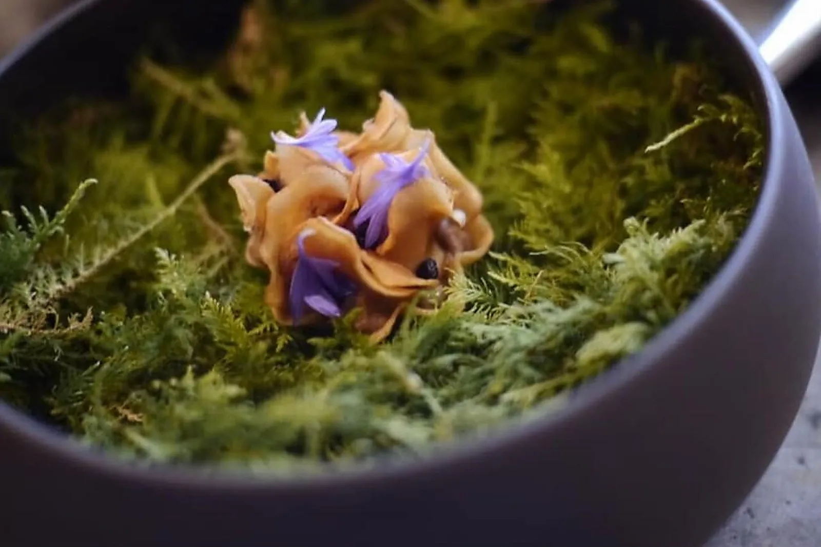 Île-de-France, RESTAURANTS - PARIS (PARIS) : QUI PLUME LE LUNE