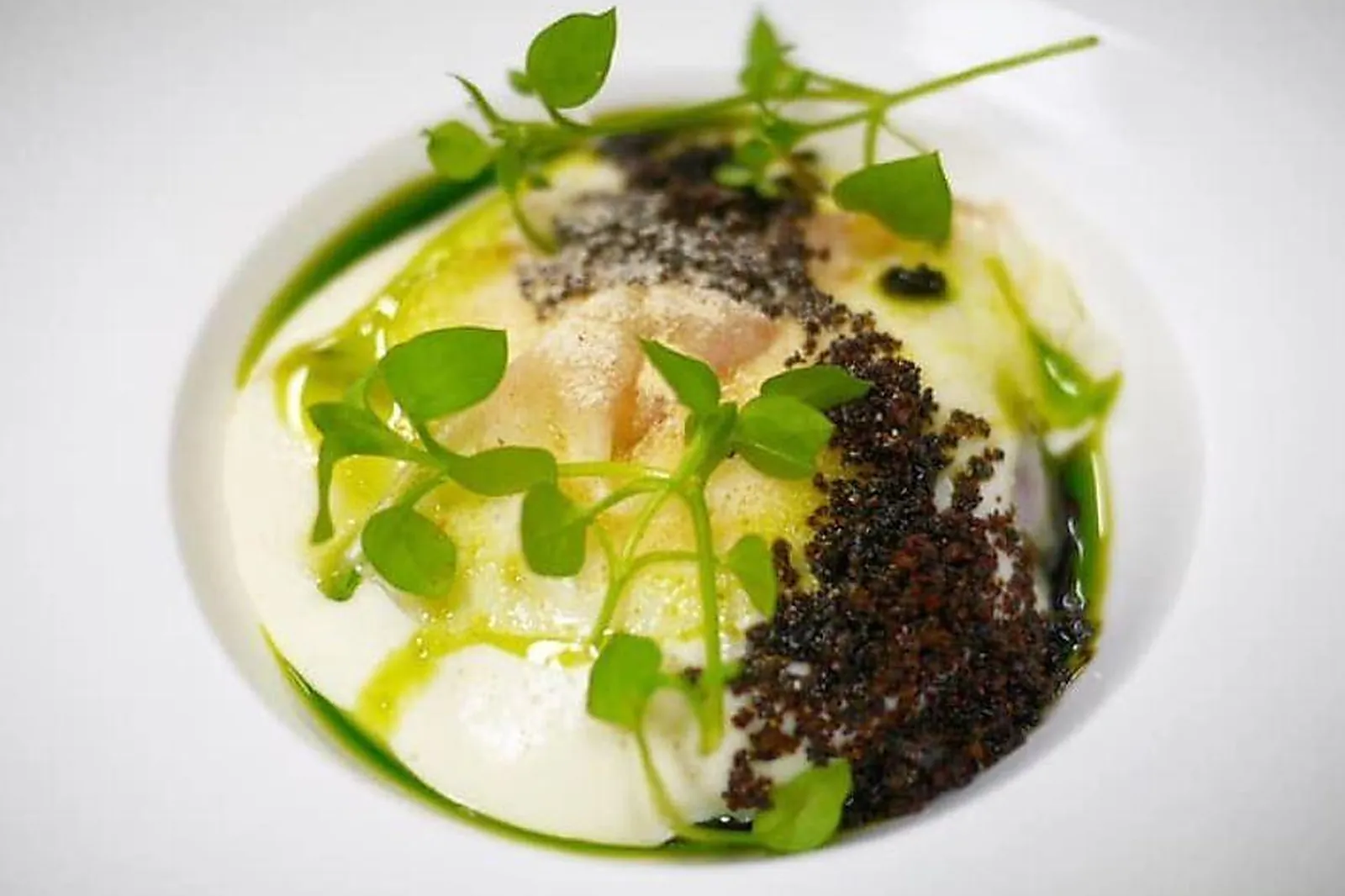 Île-de-France, RESTAURANTS - PARIS (PARIS) : QUI PLUME LE LUNE