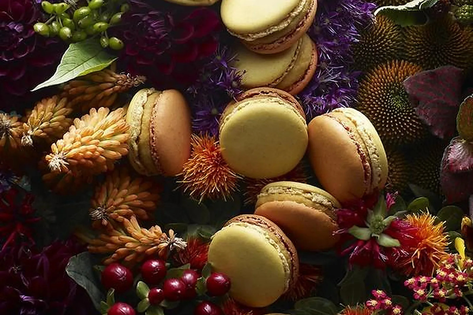 Cafés et Restaurants, RESTAURANTS - PARIS (PARIS) : RESTAURANT LUMEN