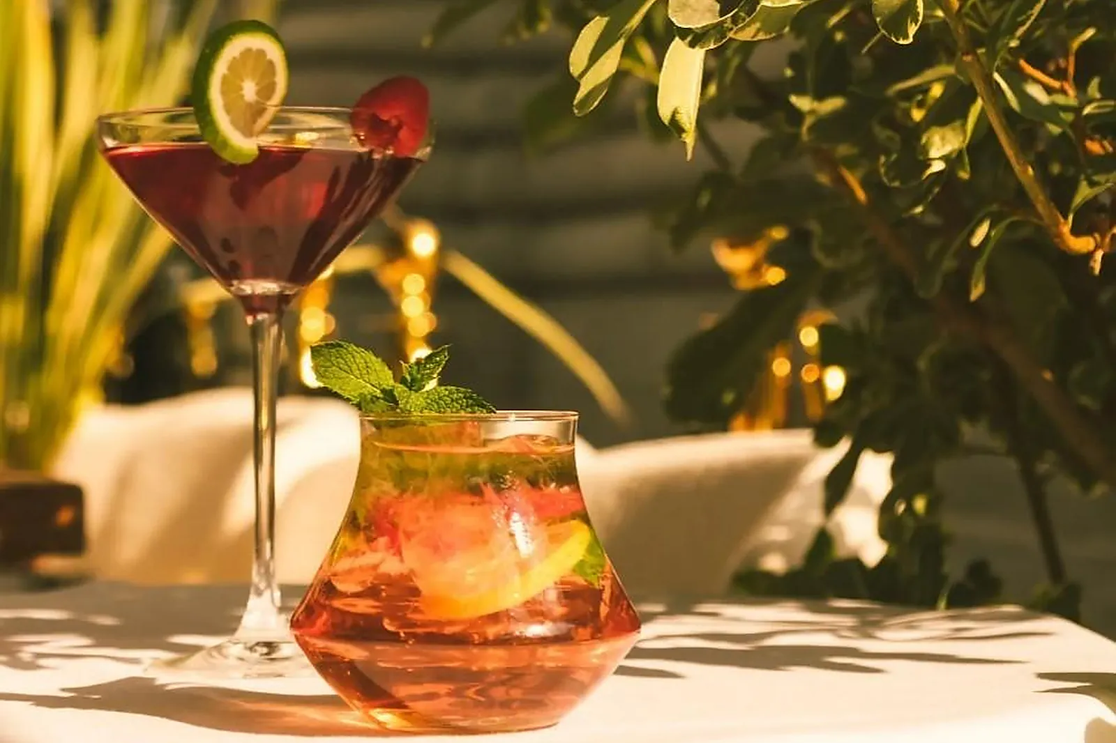 Cafés et Restaurants, RESTAURANTS - PARIS (PARIS) : SOLUM