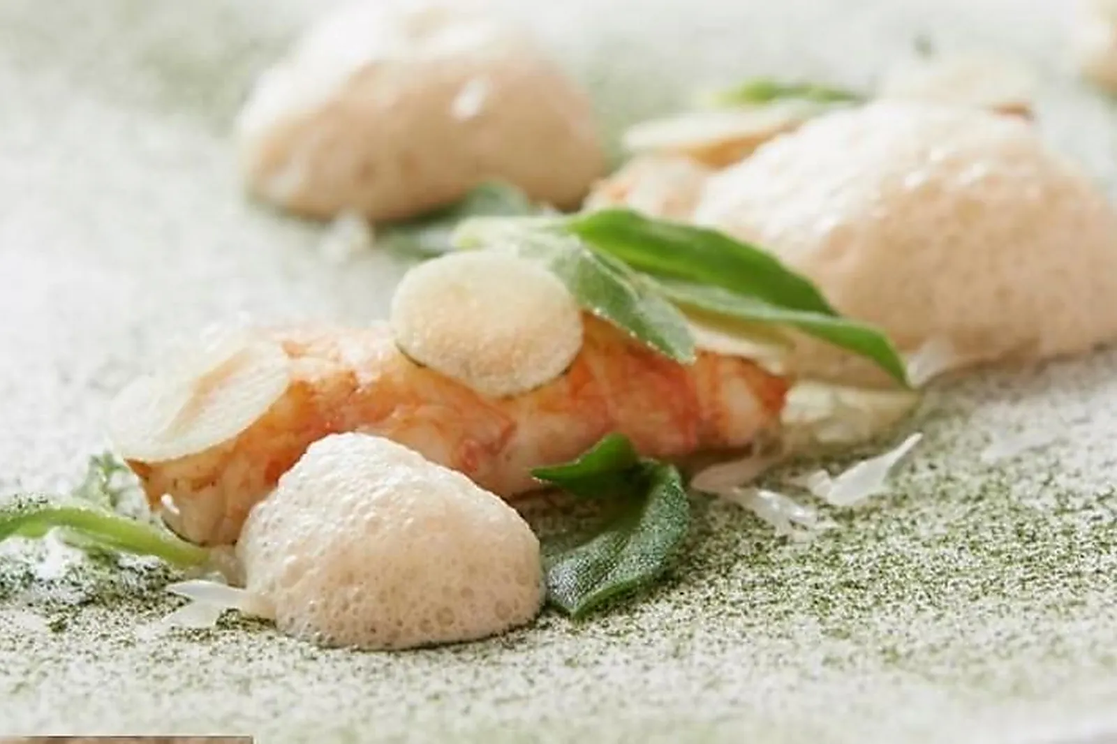 Cafés et Restaurants, RESTAURANTS - PETIT ATTICHES (NORD) : LL&RSQUO;ESSENTIEL RESTAURANT