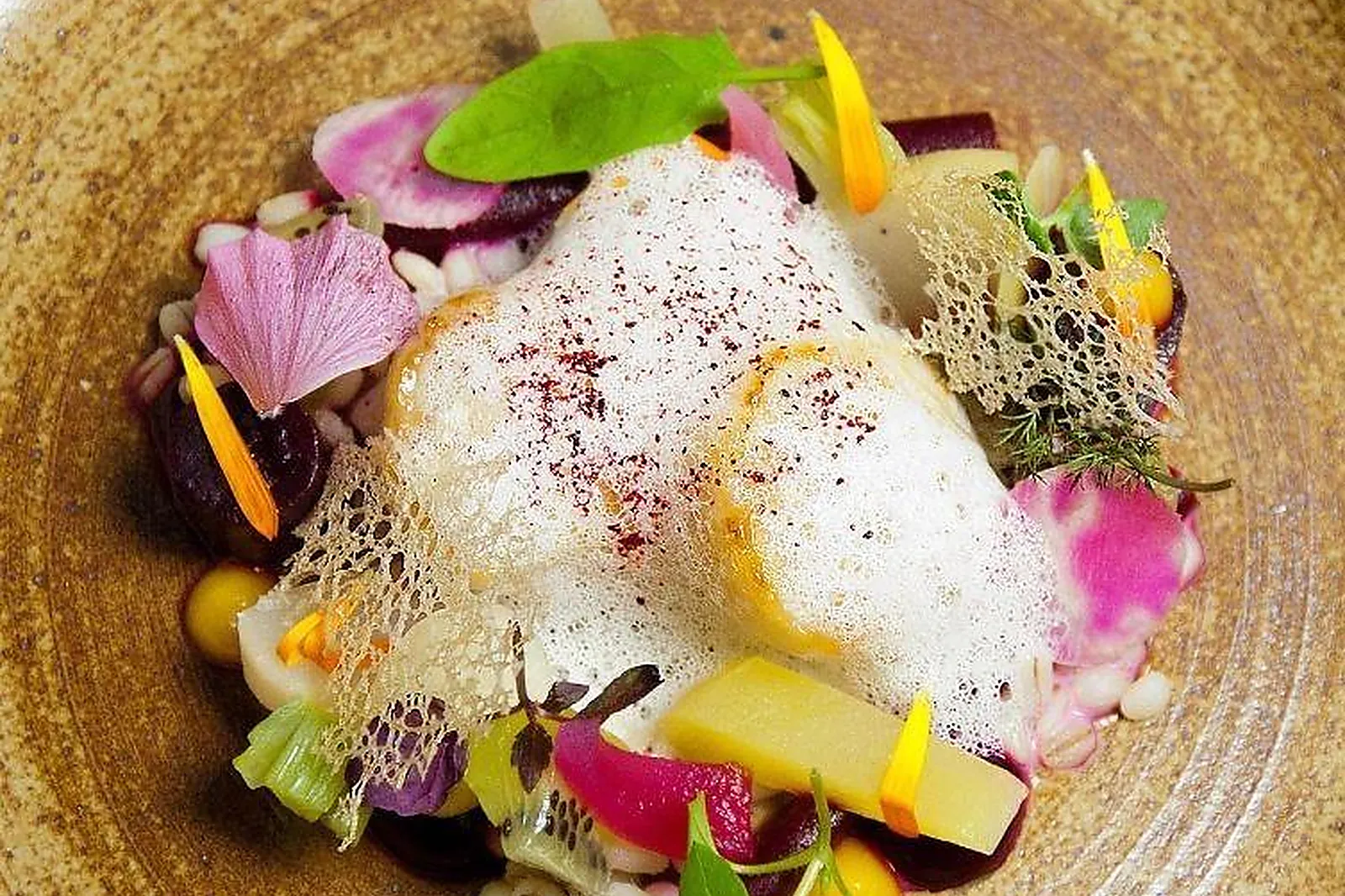 Cafés et Restaurants, RESTAURANTS - REIMS (MARNE) : RESTAURANT RACINE