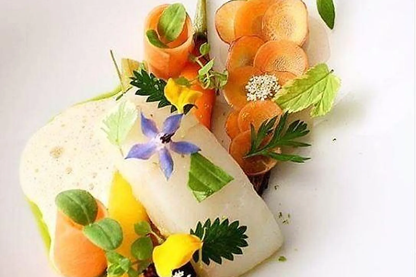 Cafés et Restaurants, RESTAURANTS - REIMS (MARNE) : RESTAURANT RACINE