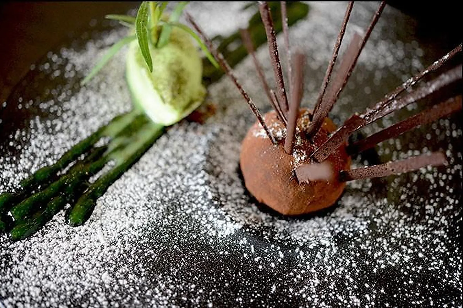 Cafés et Restaurants, RESTAURANTS - ROANNE (LOIRE) : LE TOURDION
