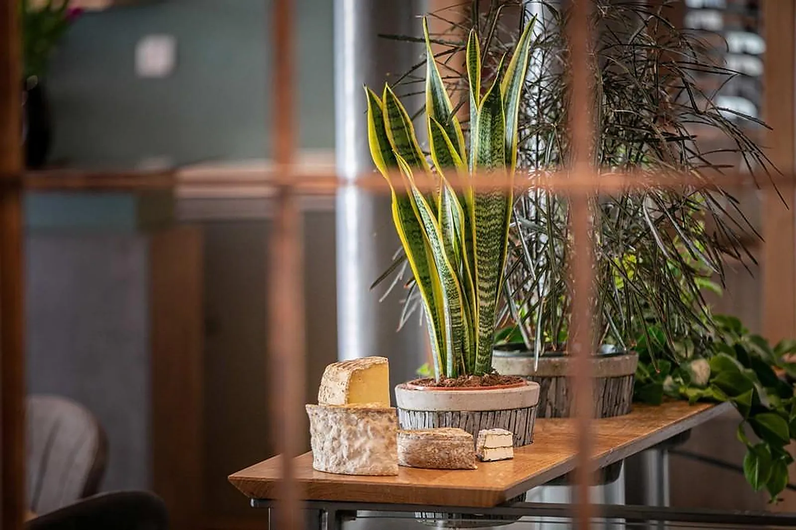 Cafés et Restaurants, RESTAURANTS - RODEZ (AVEYRON) : RESTAURANT EMILIE ET THOMAS