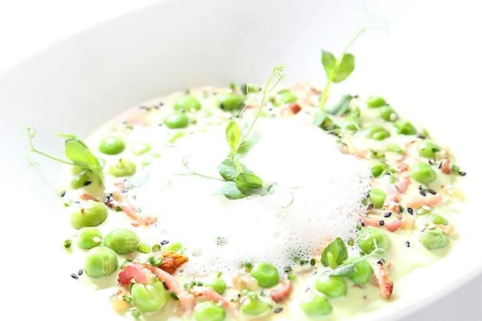 Cafés et Restaurants, RESTAURANTS - ROUBAIX (NORD) : LA MAISON DE CELOU