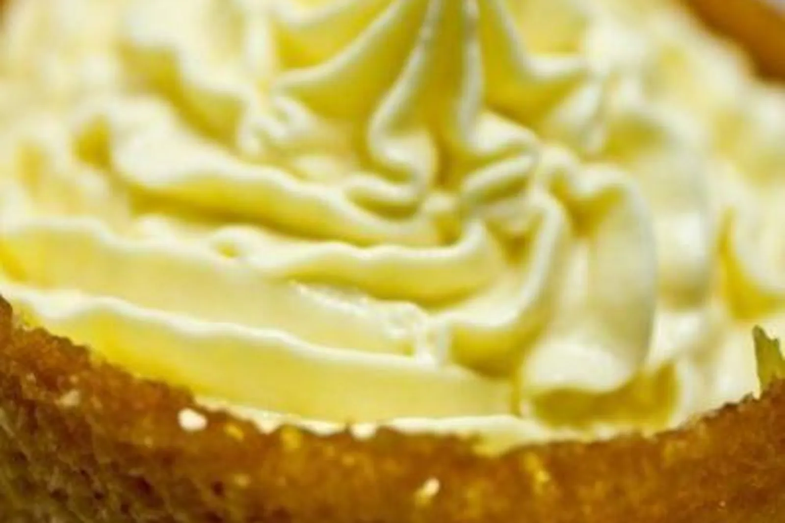 Cafés et Restaurants, RESTAURANTS - ROUBAIX (NORD) : LE TOURNESOL