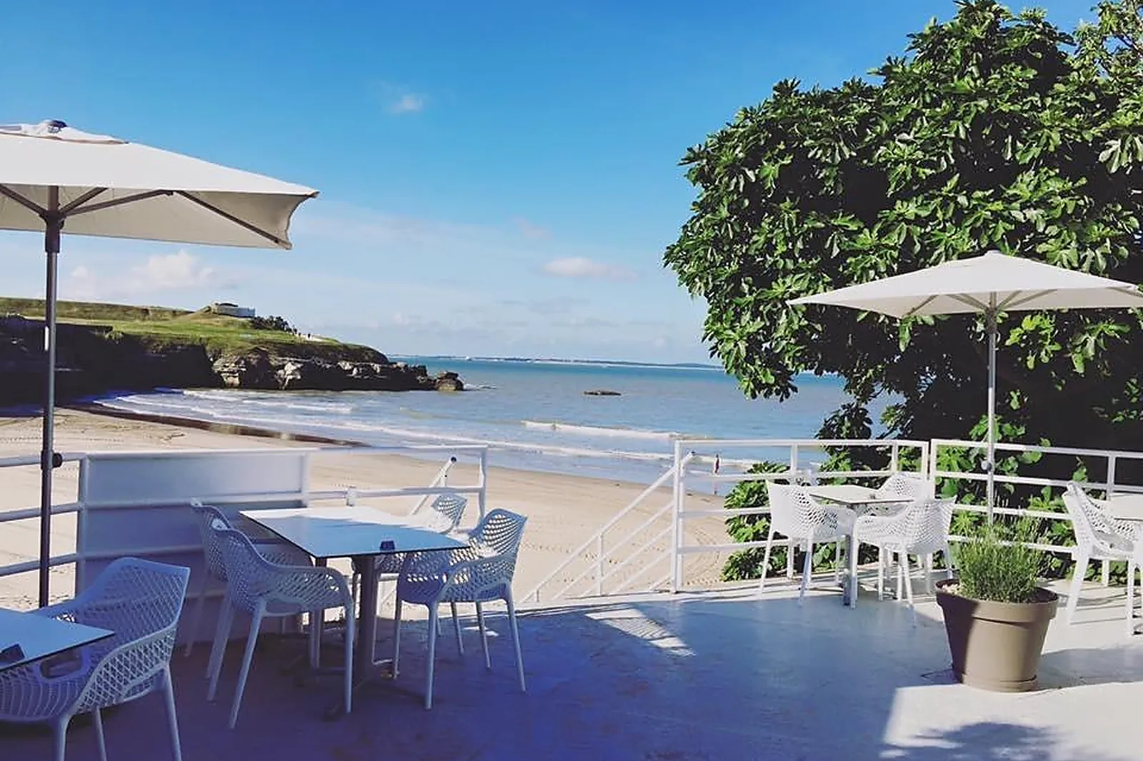 Cafés et Restaurants, RESTAURANTS - ROYAN (CHARENTE-MARITIME) : LE CHAY