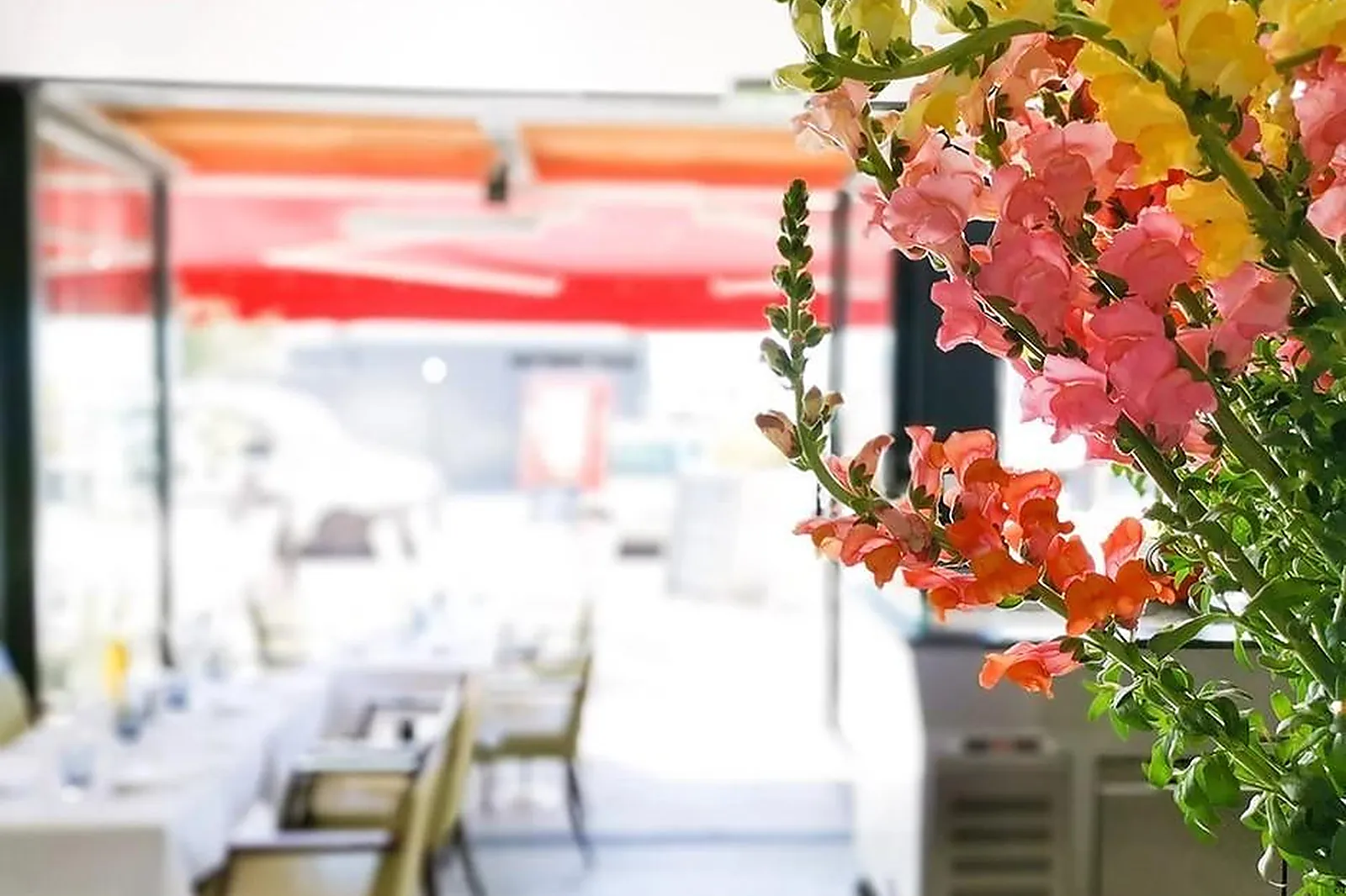 Cafés et Restaurants, RESTAURANTS - SAINT-LAURENT-DU-VAR (ALPES-MARITIMES) : LE SANTL&RSQUO;ANA