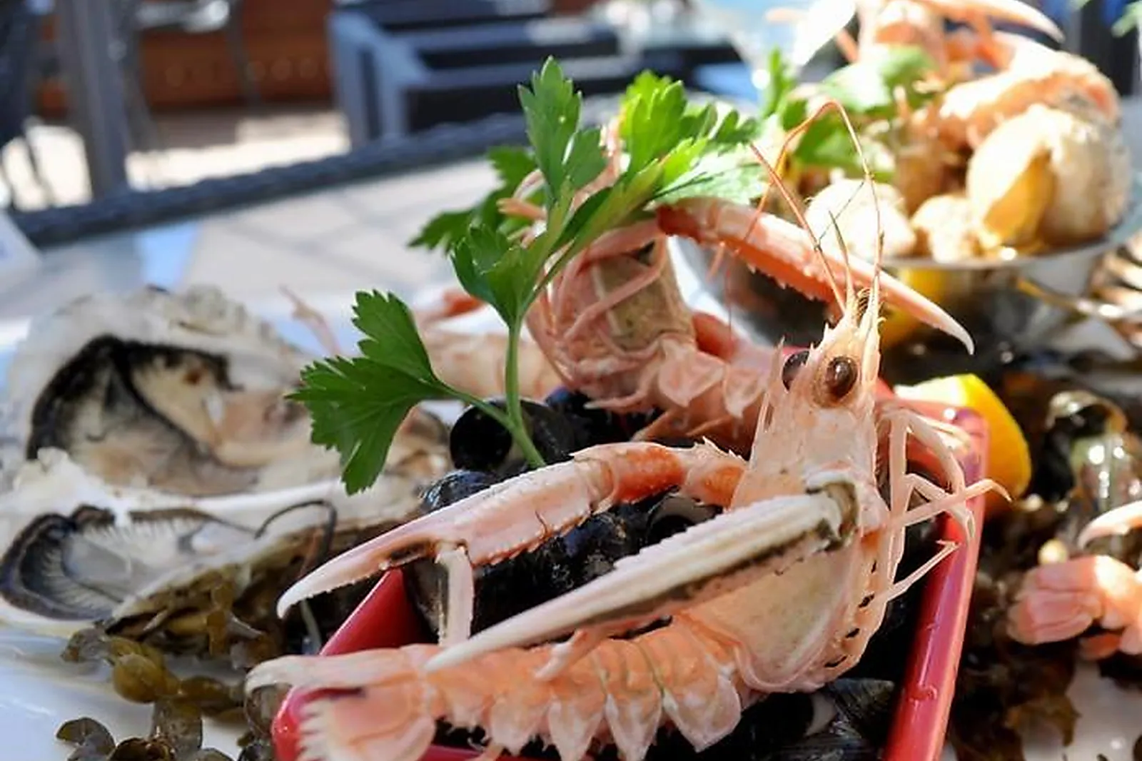 Cafés et Restaurants, RESTAURANTS - SAINT-MARC-SUR-MER (LOIRE-ATLANTIQUE) : LA PLAGE DE MONSIEUR HULOT