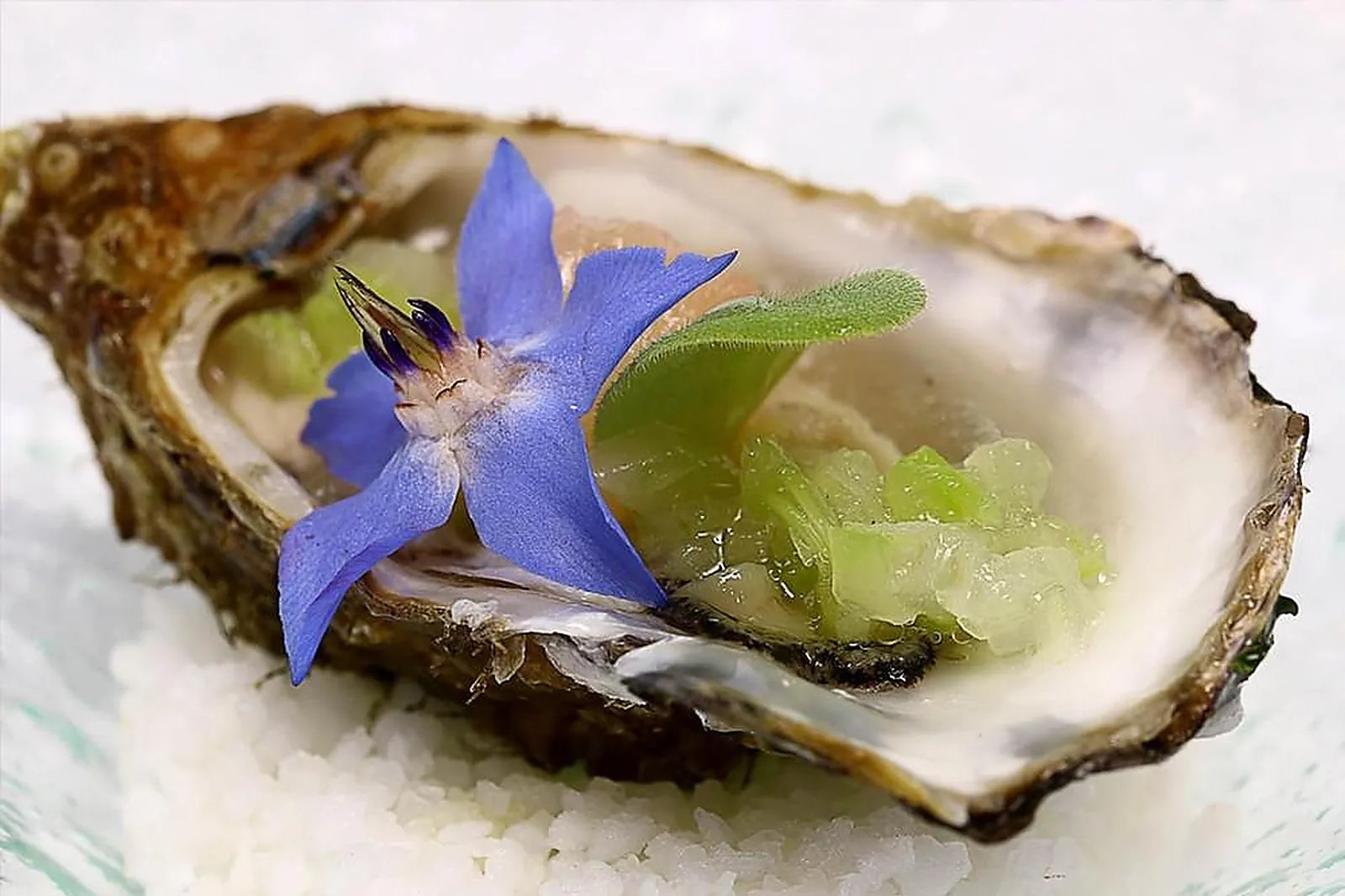 Cafés et Restaurants, RESTAURANTS - SESSENHEIM (BAS-RHIN) : L’AUBERGE AU BŒUF