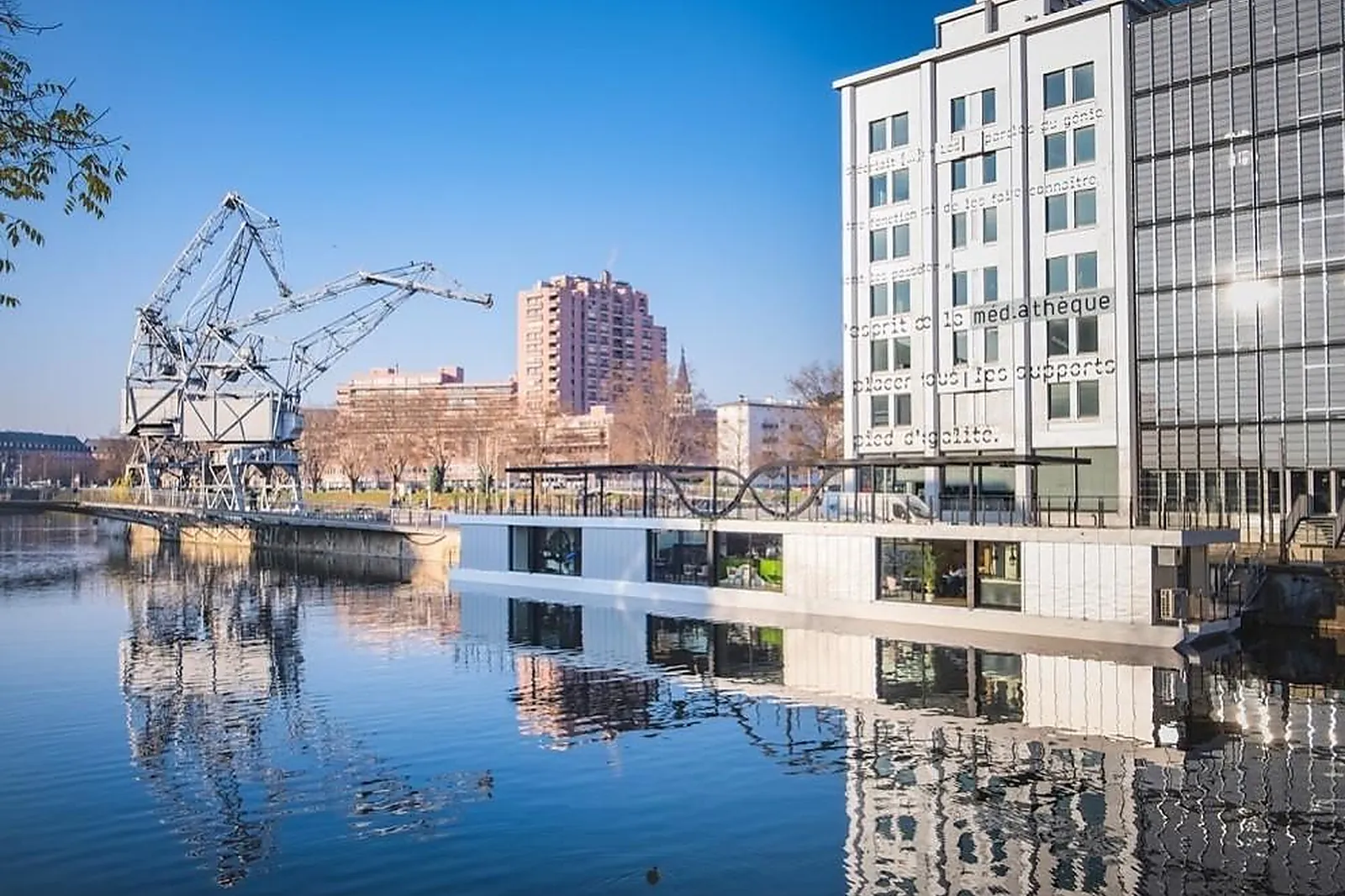 Cafés et Restaurants, RESTAURANTS - STRASBOURG (BAS-RHIN) : BLUE FLAMINGO