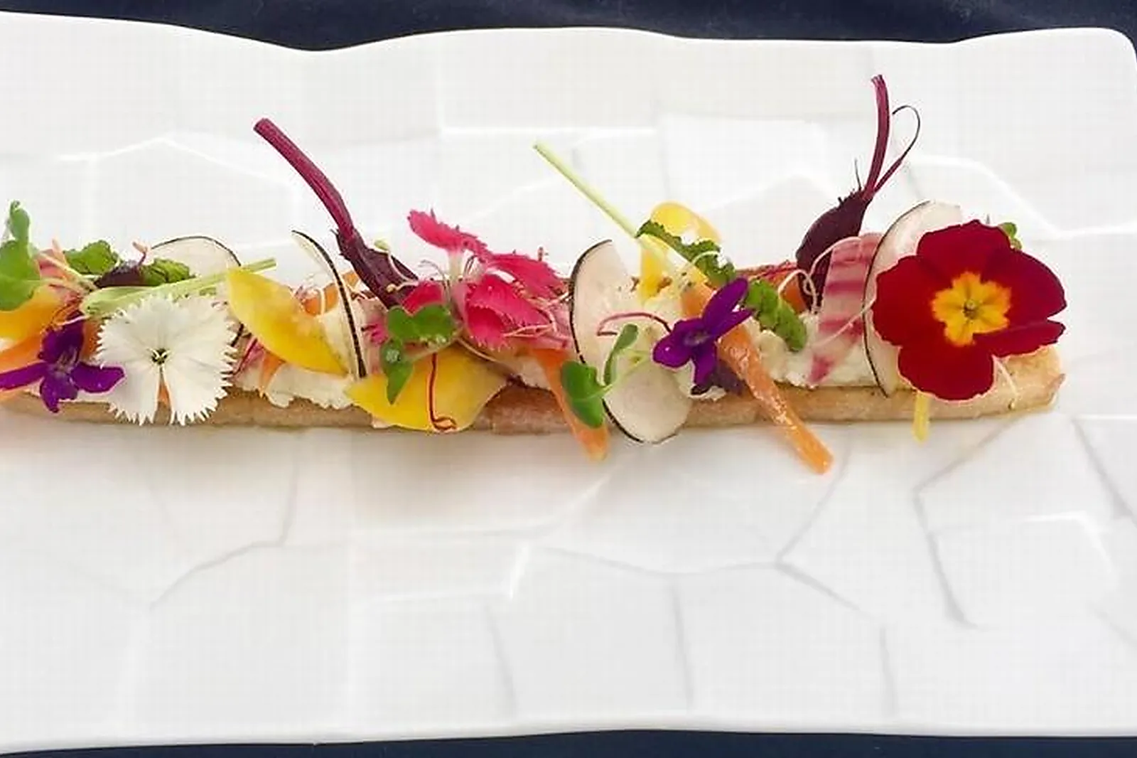 Cafés et Restaurants, RESTAURANTS - TOULON (VAR) : LES PINS PENCHÉS